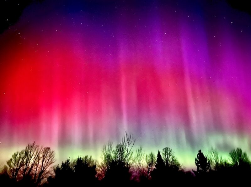Trees below with streaks of aurora stretching upward covering the sky, greenish at bottom with shades of red and pink above.