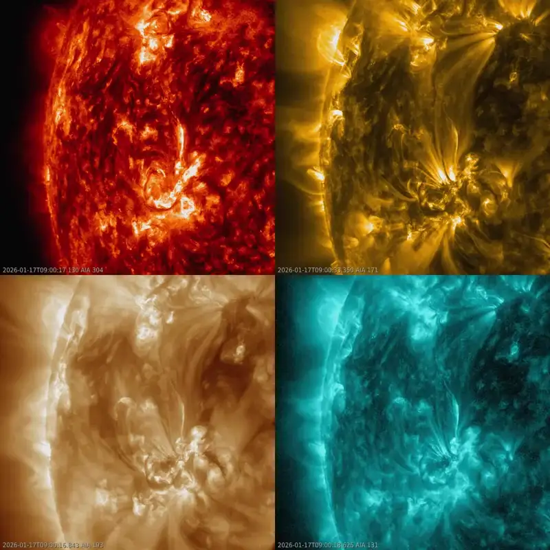 sun news