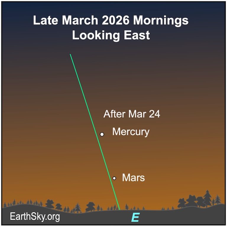 Visible planets and night sky guide for March and April