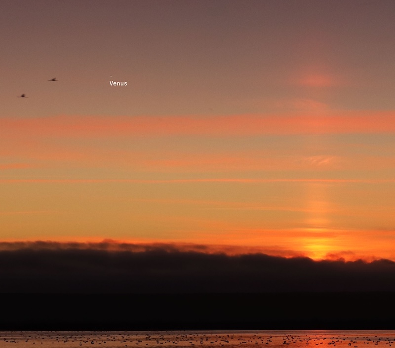 Tall column of yellow light in pink and orange clouds, with a small white dot labeled Venus.