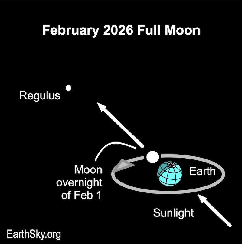 Diagram: view of moon from Earth with arrows, showing that it appears near the star Regulus.