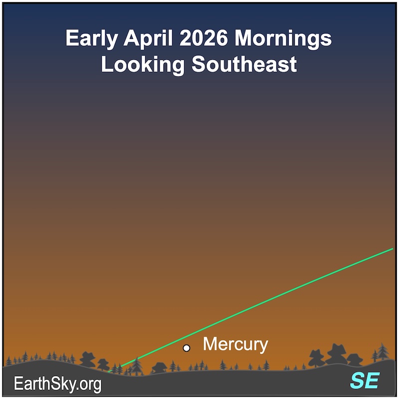 A dot, Mercury, is just above a wavy line, the horizon.