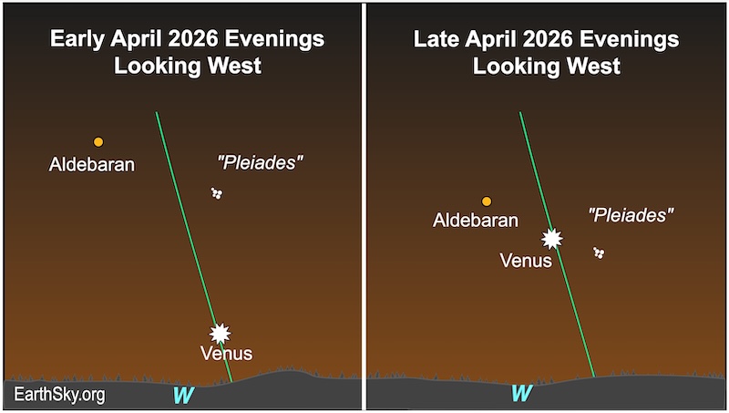 Two charts showing a starred dot, Venus, hanging above a wavy line representing the western horizon. On the first, the starred dot is far below five small dots, the Pleiades and a dot, the star Aldebarn. On the second, the starred dot is between the five small dots and the other dot. They are all above a wavy line, the horizon.
