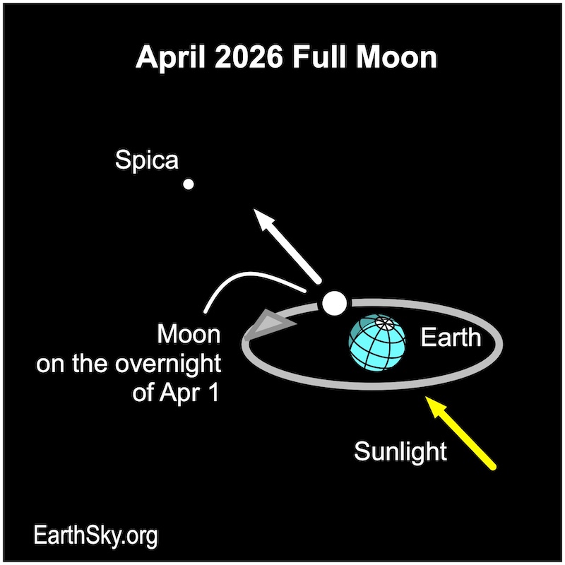 Diagram: Earth, with full white moon and a straight arrow going from Earth through moon to Spica.