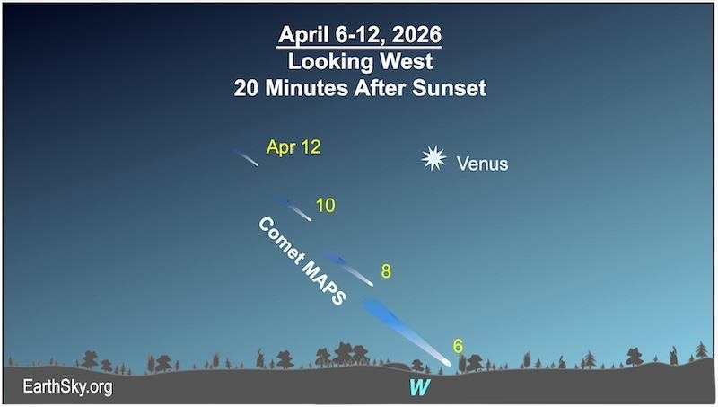 FFinder chart showing Comet MAPS in the evening twilight near Venus on April 6, 8, 10 and 12.