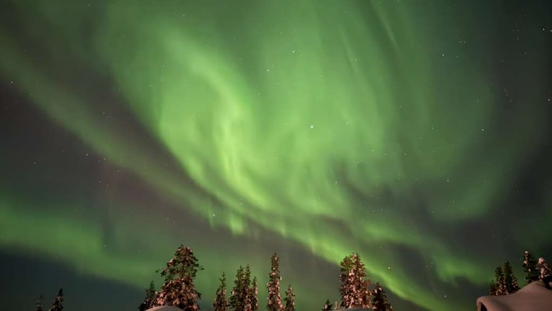 Glowing green curtains obscuring the sky, with a few conifer treetops.