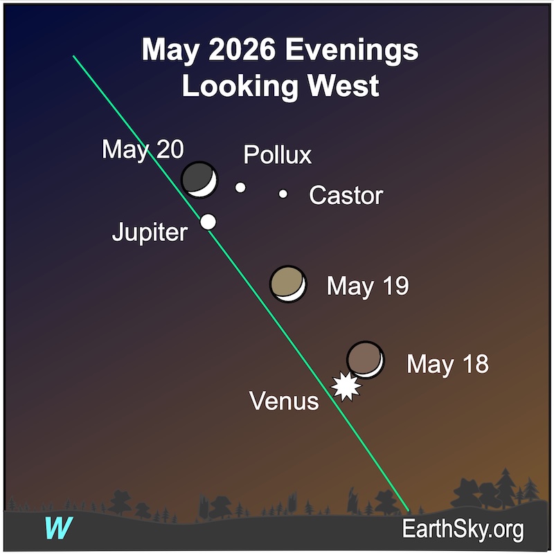 Over three nights, a thick crescent shape, the moon, first is next to a starred dot, Venus. On the next night, it is between the starred dot and a large dot, Jupiter. And on the third night, it is left of two small dots, the stars Castor and Pollux, and above the large dot, Jupiter. They are all above the wavy line of the horizon.