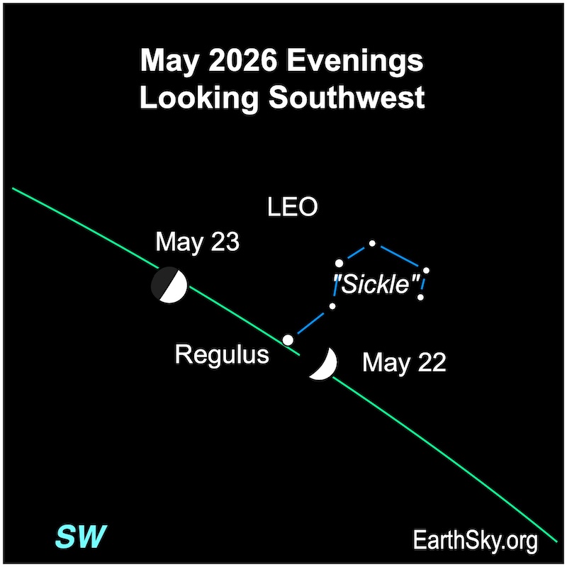 A hemisphere, the moon, moves passed a dot, Regulus, and five small dots forming the Sickle of Leo.
