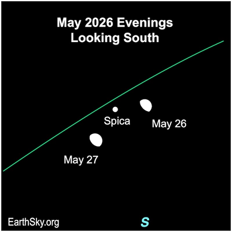 A fat hemisphere, the moon, lies to the upper right of a dot, Spica. Then it lies to the dot's lower left.