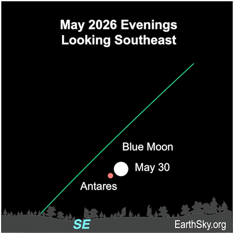 A disk, the moon, lies immediately next to a dot, Antares. They are both above a wavy line, the horizon.
