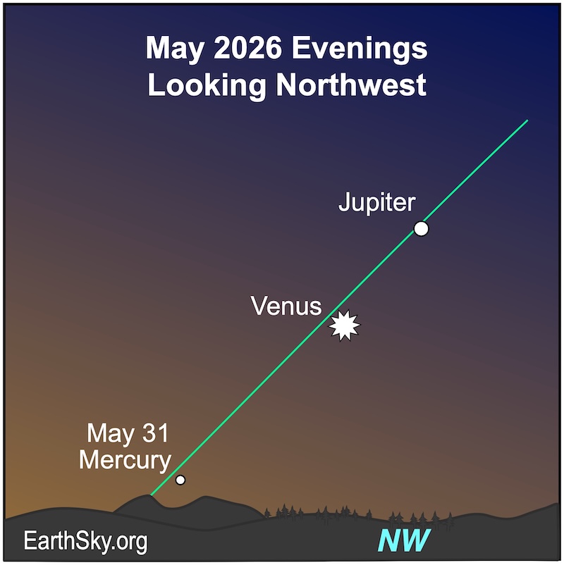 Chart showing a dot, Mercury, above a wavy line, the horizon. A large starred dot, Venus, is to its upper right. Another dot, Jupiter, is farther to the upper right.