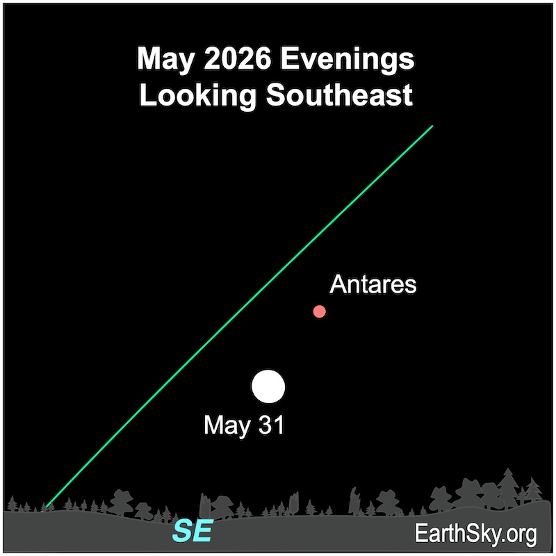 A near disk, the moon, lies immediately below a dot, Antares. They are both above a wavy line, the horizon.