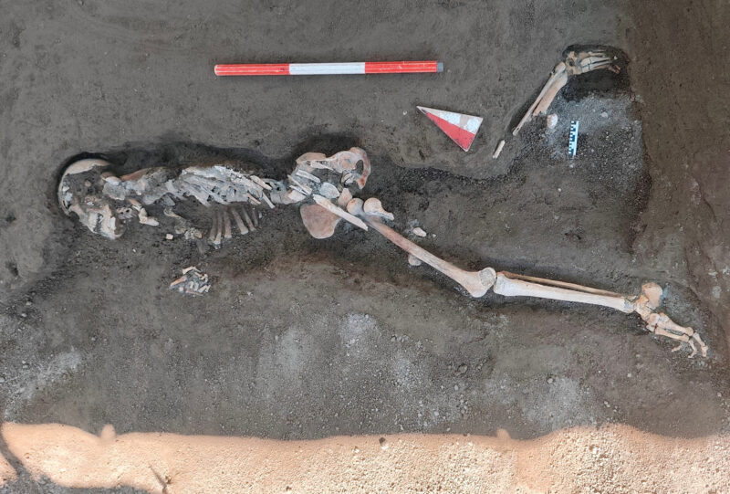 A skeleton that is lying on its side in a running position with feet apart.