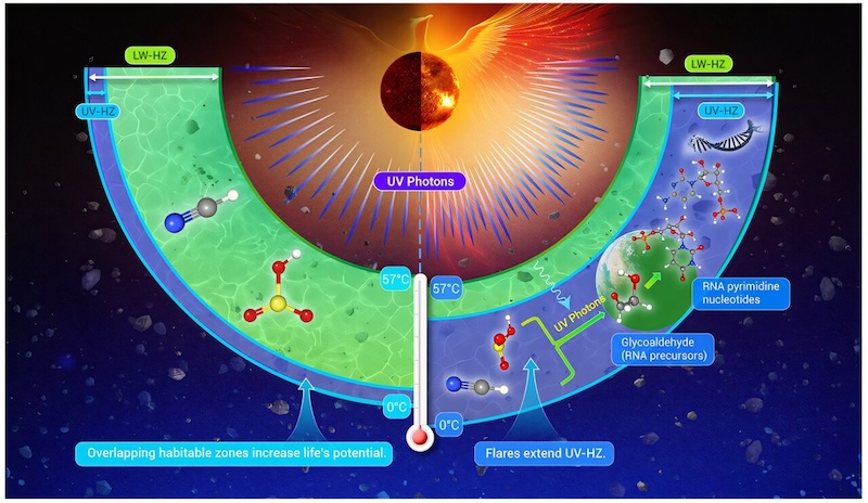 Flares extend habitable zones: Complicated diagram of arcs around a star. 1 green arc with simple molecules and a blue arc with complex ones.