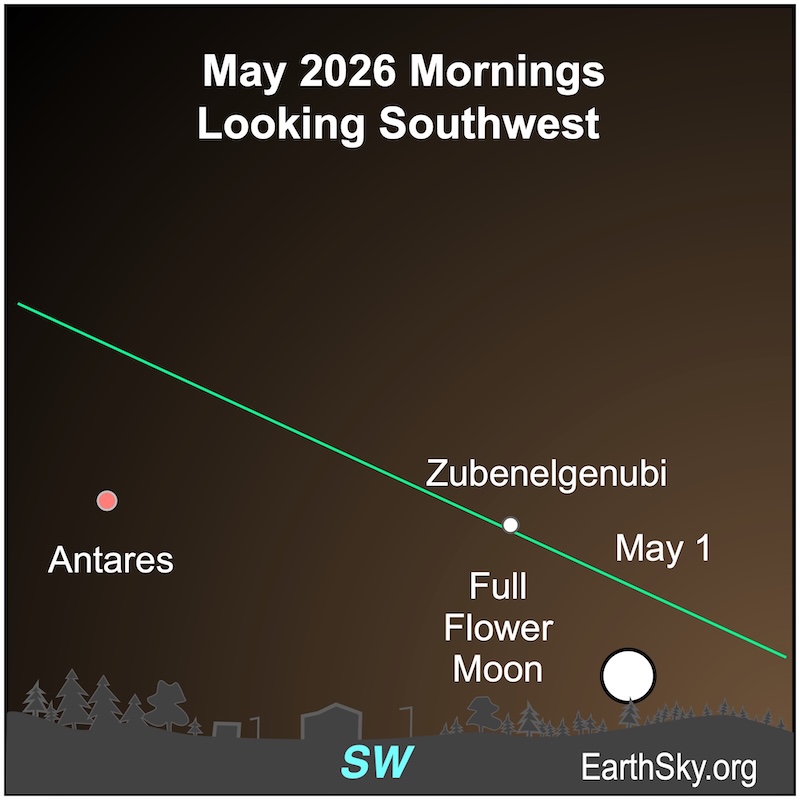 Chart showing a disk, the full moon, above a wavy line, the southwestern horizon. Left of the disk is a dot, the star Zubenelgenubi and left of that is another dot, the star Antares.
