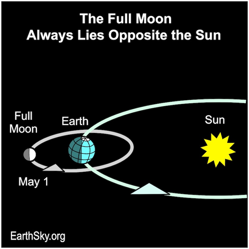 Chart showing, all in a row, a large starred disk representing the sun, a disk representing Earth, and a small disk representing the moon.