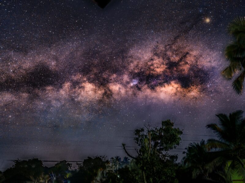 Bright band of Milky Way with prominent dark patches in a densely starry sky, above trees.