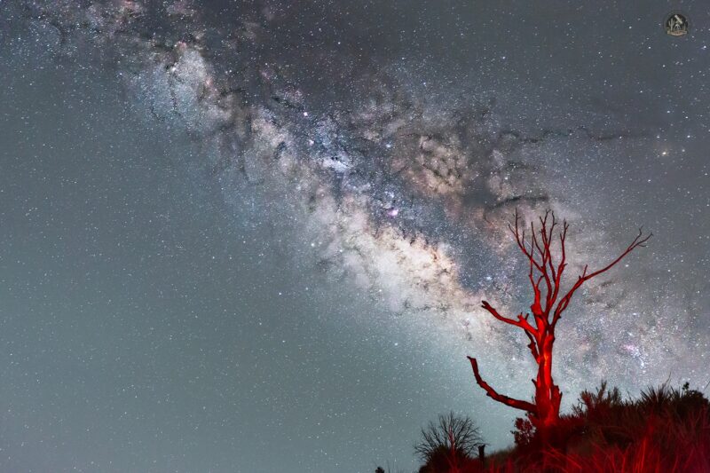 Cloudy, glowing band with dark streaks stretches across a starry sky above a bare tree.