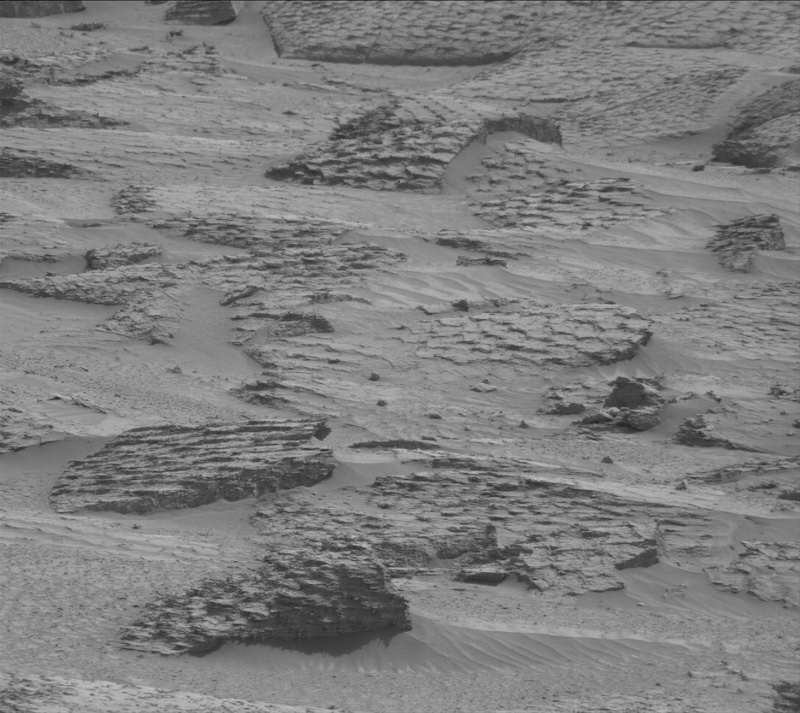 Black and white view of rocks with "reptile scales" on them.