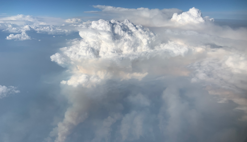 Pyrocumulonimbus clouds: View from plane of towering, billowing white cloud with gray clouds at its base.