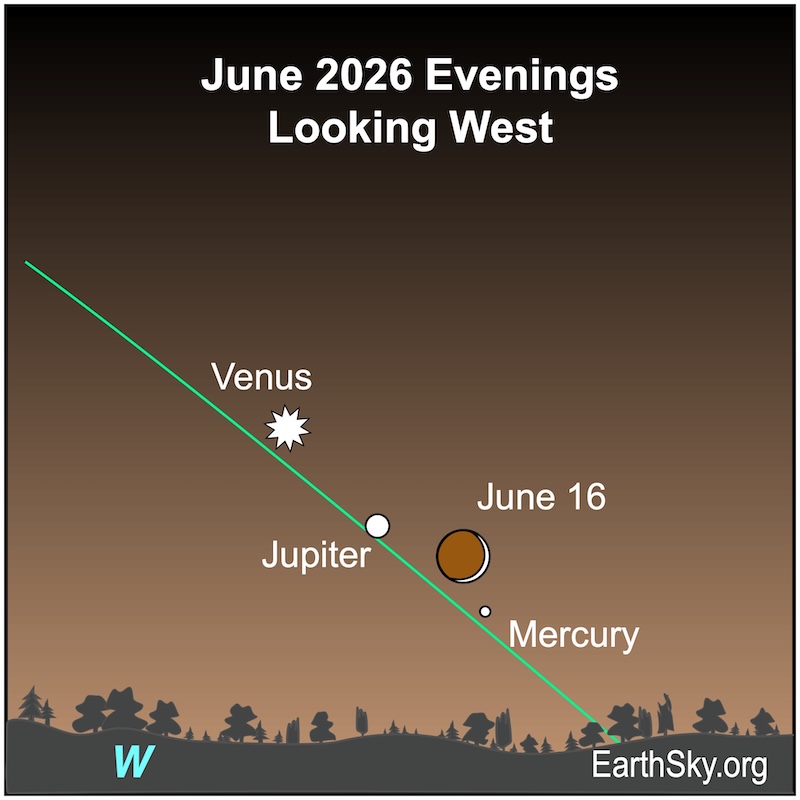 A starred dot, Venus, lies above a dot, Jupiter, which lies above a small dot, Mercury. A crescent shape, the moon, is between the dot and small dot. They all lie above a wavy line, the horizon.