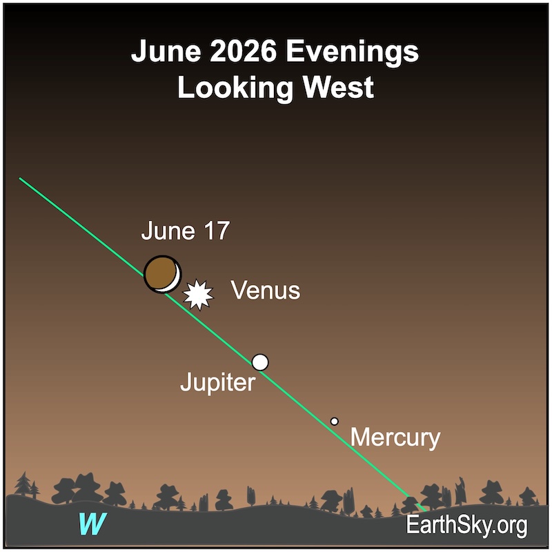 A crescent shape, the moon, is next to a starred dot, Venus. Below them is a large dot, Jupiter, and below that is a small dot, Mercury. They all lie above a wavy line, the horizon.