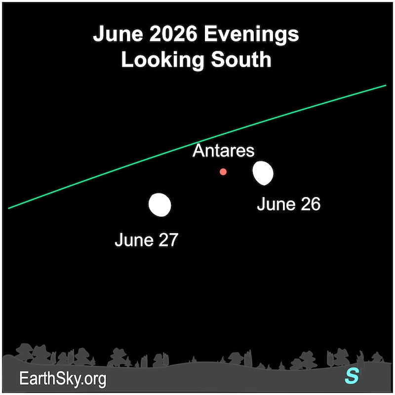 An almost full disk, the moon, is next to a dot, the star Antares. On the next evening, an almost full disk, the moon, is to the left of the dot.