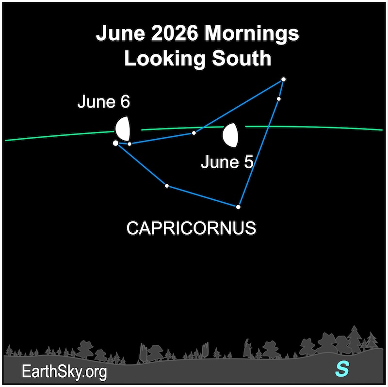 A hemisphere, the moon, lies among seven small dots, the stars of Capricornus. They are all above a wavy line, the horizon.
