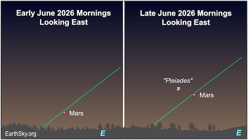 Two charts: In the first, a dot, Mars, is above a wavy line, the horizon. In the second, a dot, Mars, lies higher than before, and next to five small dots, the Pleiades star cluster.