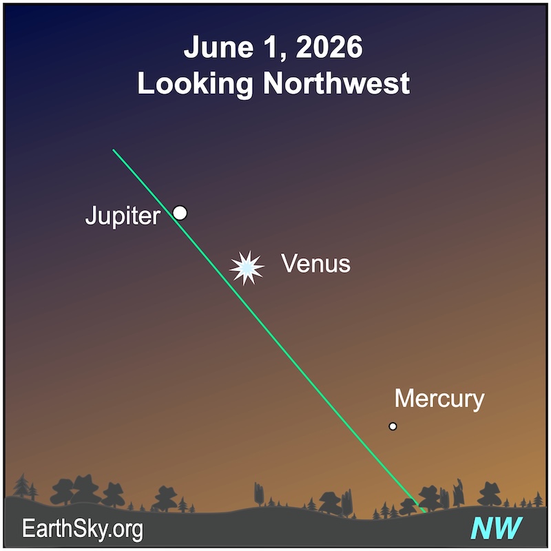 A starred dot, Venus, is below a large dot, Jupiter. Below them is a smaller dot, Mercury. They all lie above a wavy line, the horizon.