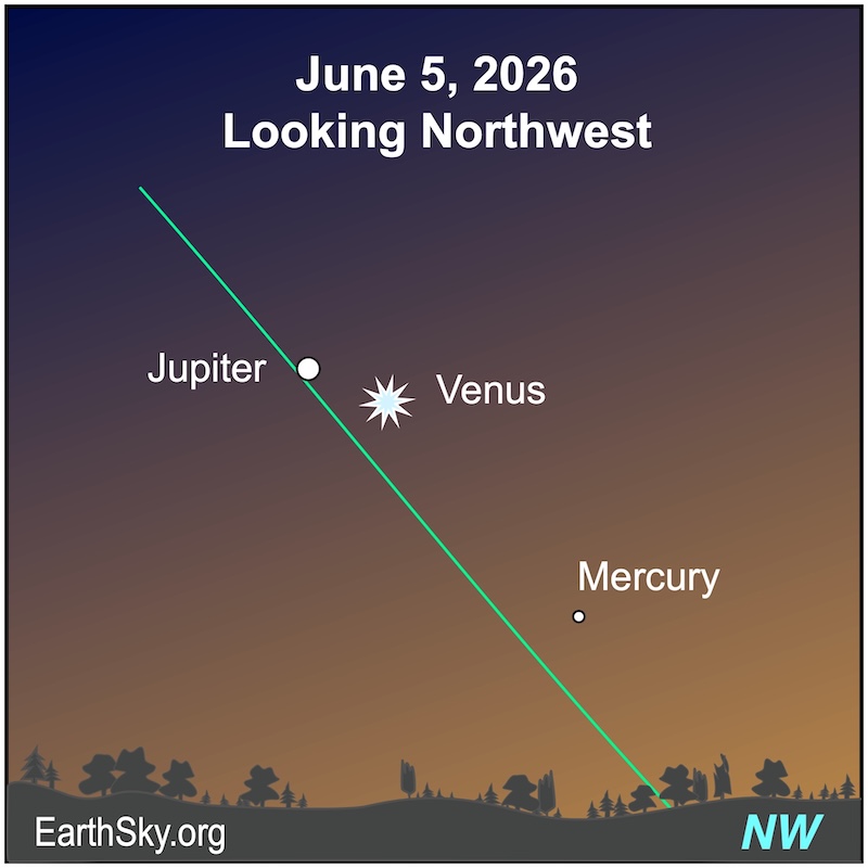 A starred dot, Venus, lies near but below a large dot, Jupiter. Below them is a smaller dot, Mercury. They all lie above a wavy line, the horizon.