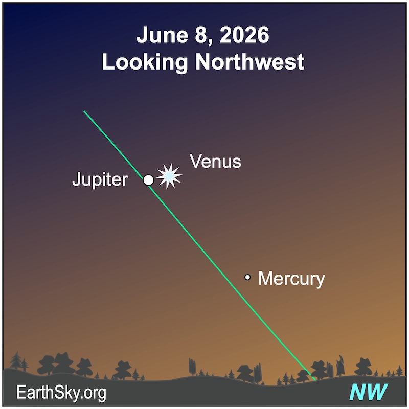 A starred dot, Venus, is next to a large dot, Jupiter. Below them is a smaller dot, Mercury. They all lie above a wavy line, the horizon.