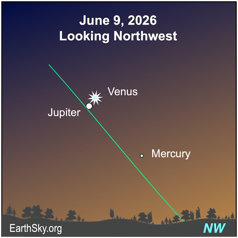A starred dot, Venus, is immediately above a large dot, Jupiter. Below them is a smaller dot, Mercury. They all lie above a wavy line, the horizon.