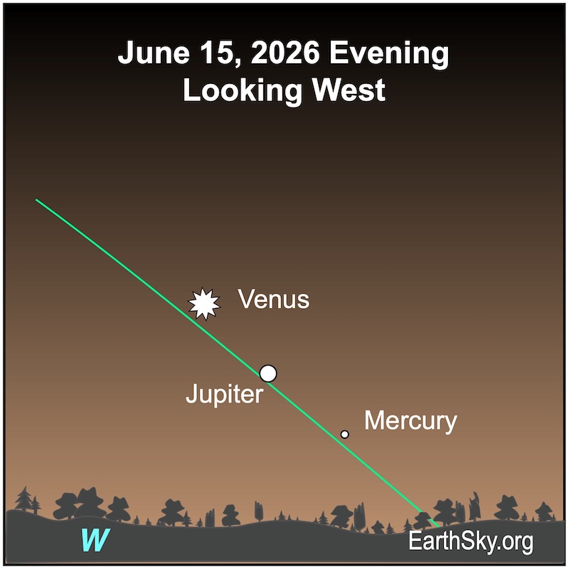 A starred dot, Venus, shines above a large dot, Jupiter. Between them and the wavy line of the horizon is a small dot, Mercury.