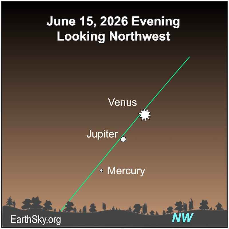 A starred dot, Venus, shines above a large dot, Jupiter. Between them and the wavy line of the horizon is a . small dot, Mercury.