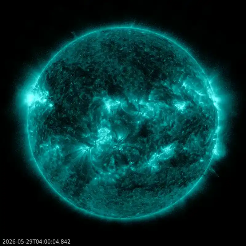Sun news: BAM! M flare from newcomer AR4455