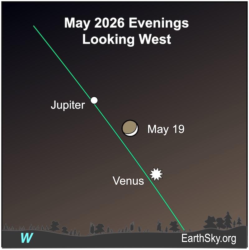 On May 19, a crescent shape, the moon, is between to a a white dot, Jupiter and a white starred shape for Venus.