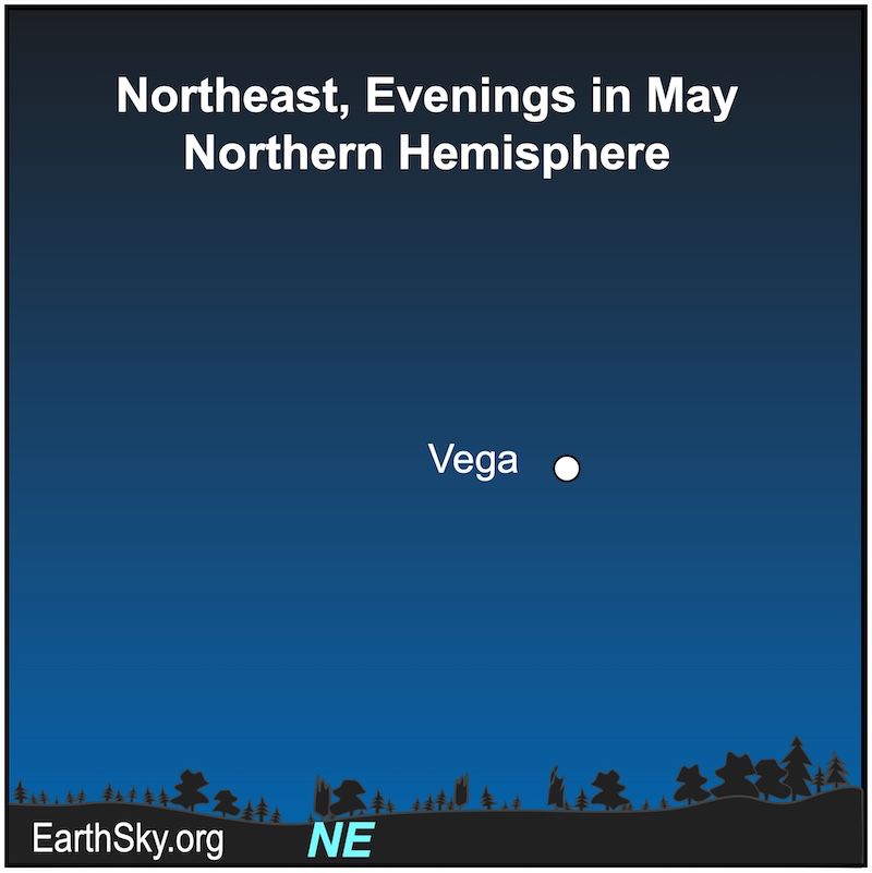 Nighttime chart showing the bright star above the NE horizon in May.
