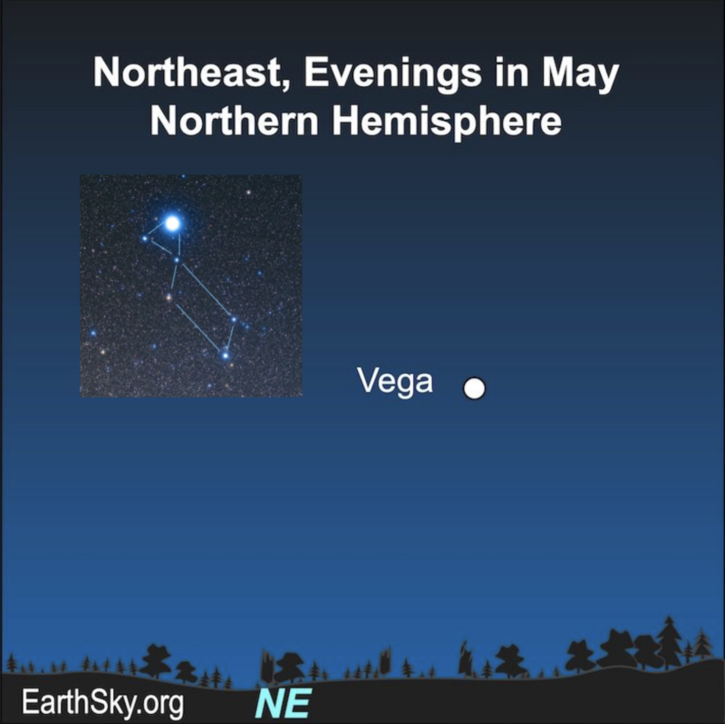 VEGA MARKS THE DIRECTION OUR SOLAR SYSTEM IS HEADED