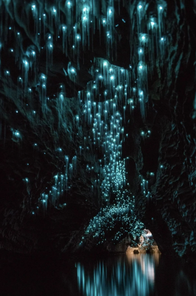 A black background with many luminous bluish points.