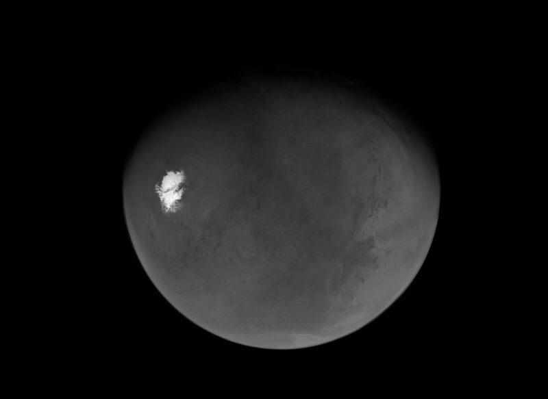 Gray globe with large, dark markings and a small white patch.