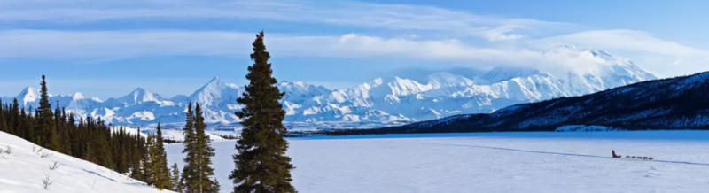 A big, flat snowy surface and a distant dog team on it. Faraway snowy mountains and a few foreground evergreen trees.