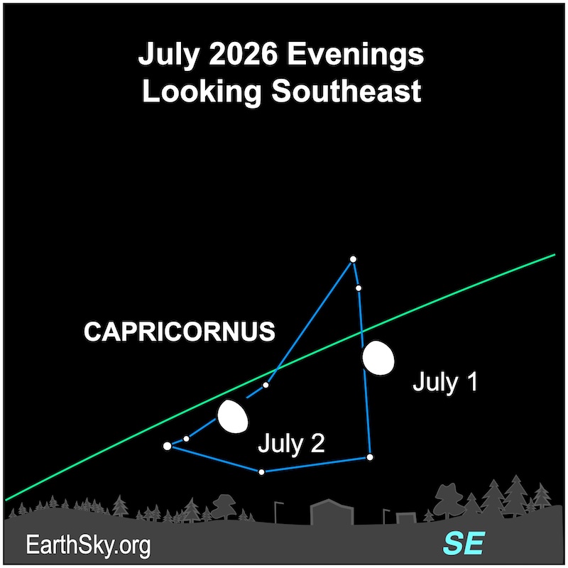 A fat hemisphere, the full moon, lies among seven dots, the stars of Capricornus. They all are above a jagged line, the southeastern horizon.