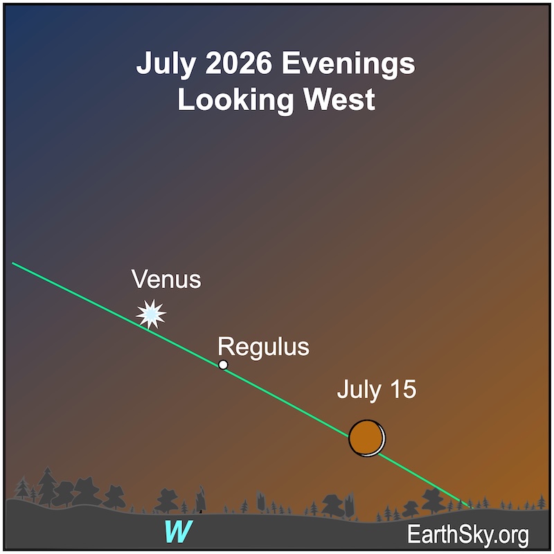 A crescent shape, the moon, lies immediately above a jagged line, the western horizon. To its upper left is a small dot, Regulus, and to the upper left of it is a starred dot, Venus.