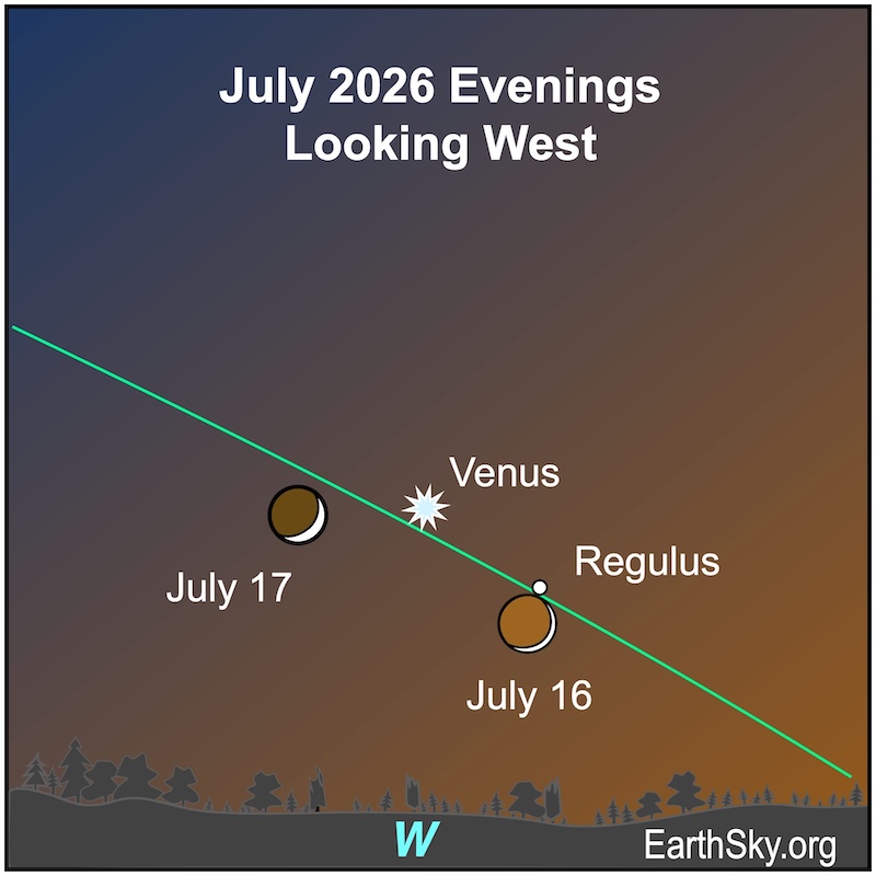 A crescent shape, the moon, is below a dot, the star Regulus with a starred dot, Venus, to their upper left. On the next evening, the crescent is directly left of the starred dot.