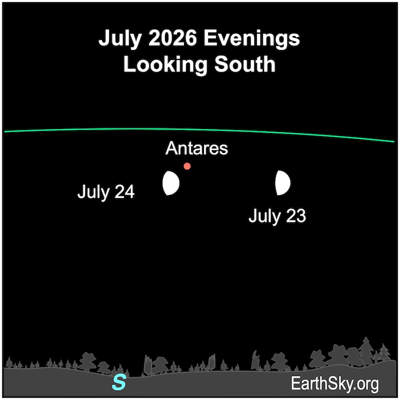 A fat hemisphere, the moon, passes a dot, the star Antares. They are above a wavy line, the horizon.