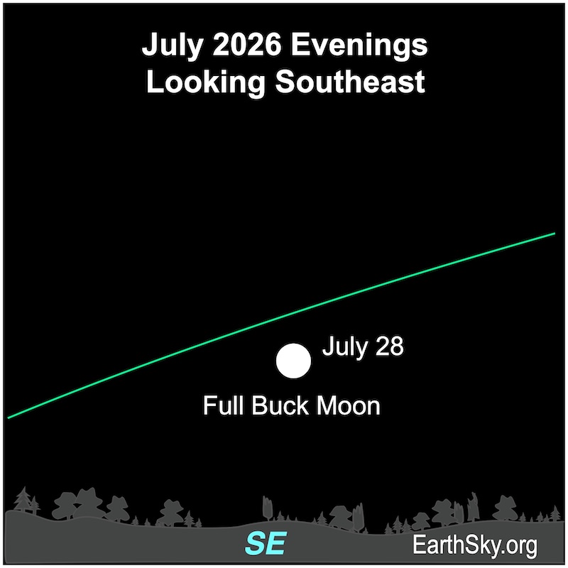 A disk, the full moon, hangs above the wavy line of the horizon.