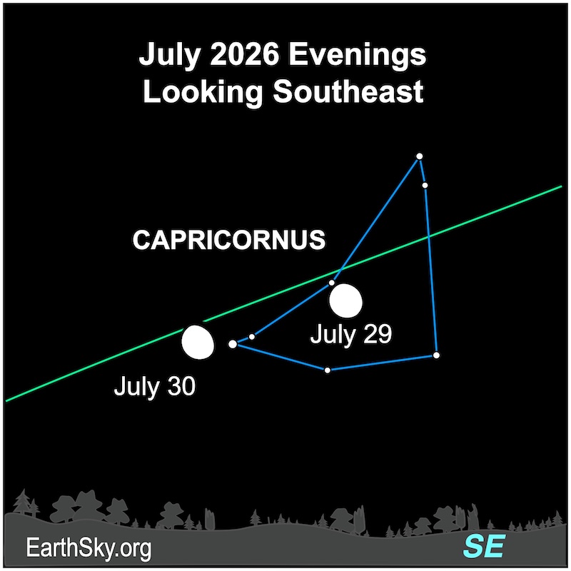 A fat hemisphere, the moon, lies among seven small dots, the stars of Capricornus. On the next evening, it is left of those seven dots. They are all above a wavy line, the southeastern horizon.