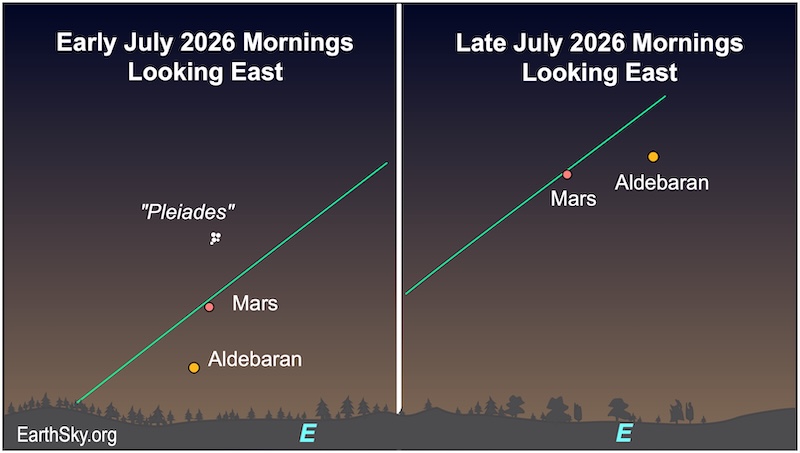 Two charts: In the first, a dot, Mars, is between five small dots, the Pleiades star cluster, and a dot, the star Aldebaran, below them. They are above a wavy line, the horizon. In the second, a dot, Mars, lies left of another dot, Aldebaran.