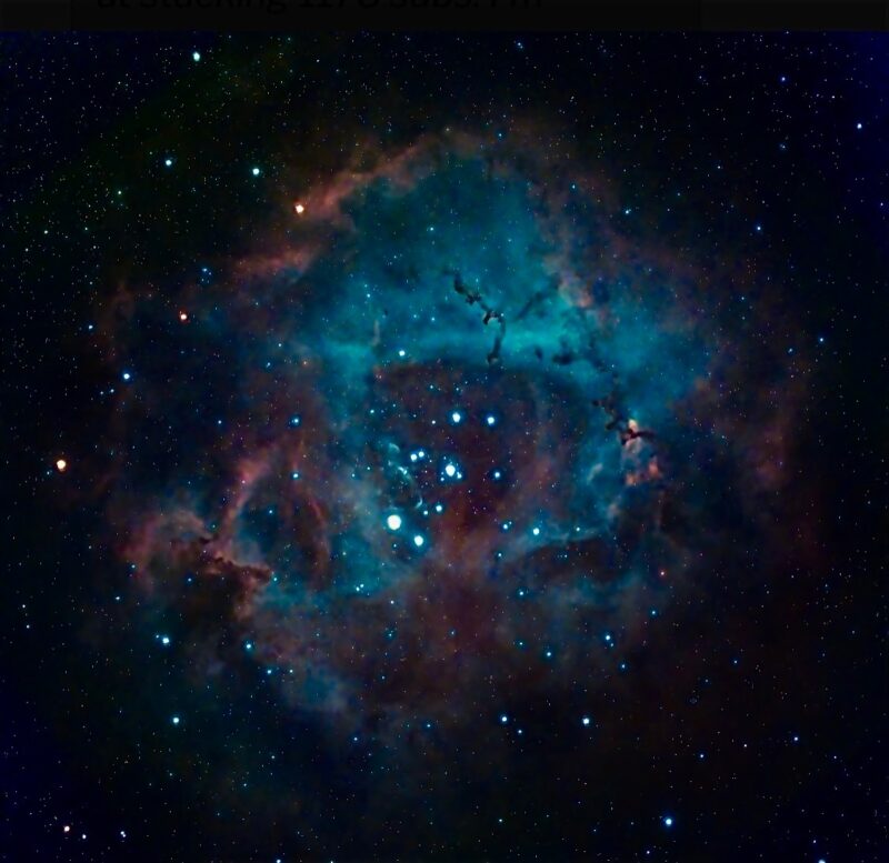 A large, spherical and hollowed-out cloud of electric blue and red gas, with numerous immersed stars.